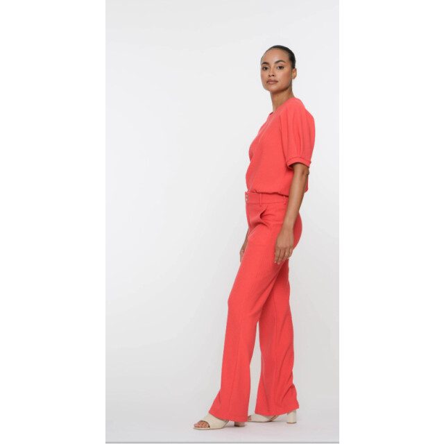 Geisha Pants 51126-21- 51126-21-coral large
