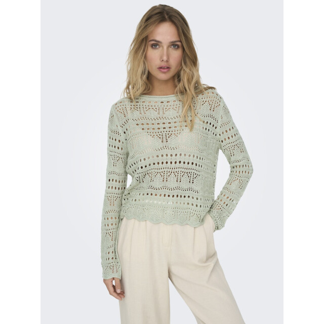 Jacqueline de Yong sun lay l/s boatneck pullov. knt 15287384 desert sage 06712.369.0116 large