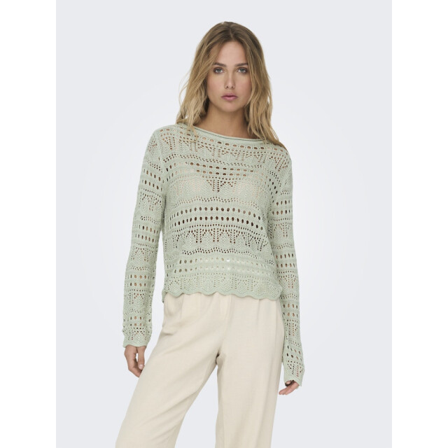 Jacqueline de Yong sun lay l/s boatneck pullov. knt 15287384 desert sage 06712.369.0116 large
