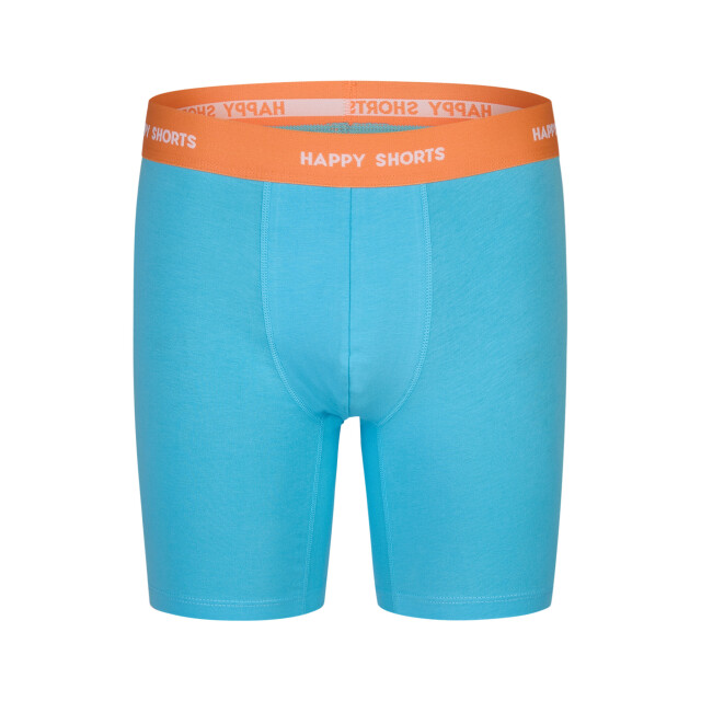 Happy Shorts Heren boxershorts met lange pijpen boxer briefs blue palms print 2-pack HS-J-1186LONG large