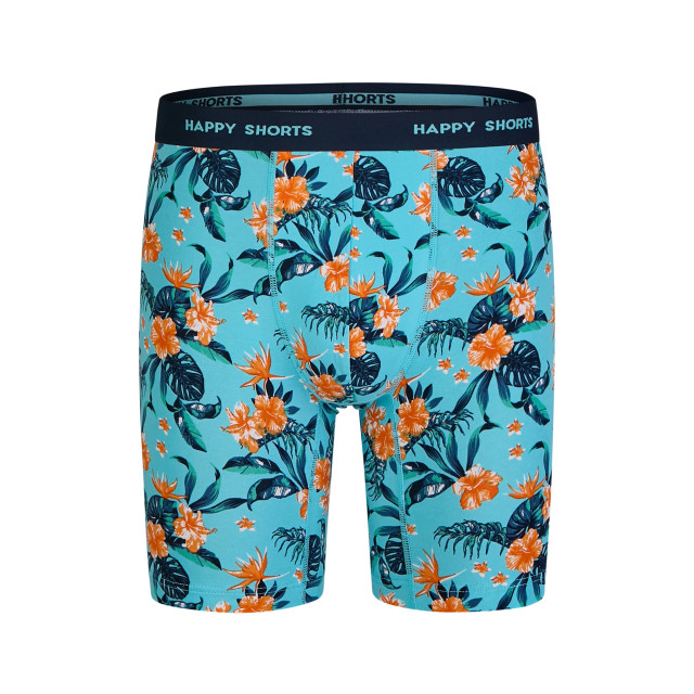 Happy Shorts Heren boxershorts met lange pijpen boxer briefs 4-pack palm leaves HS-J-1122+1183-LONG large