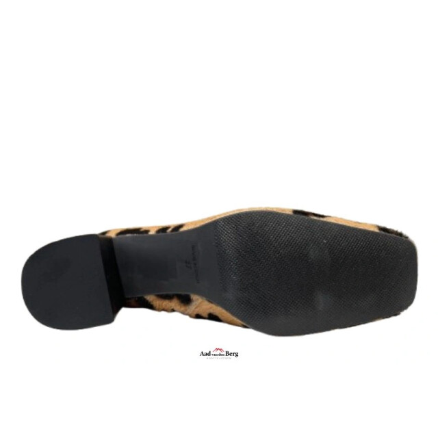 Angel Alarcon Damesschoenen enkellaarsjes 24559 795C large