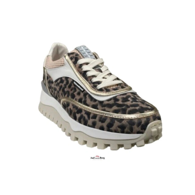 Floris van Bommel Grommi 02.05 Sneakers Beige Grommi 02.05 large
