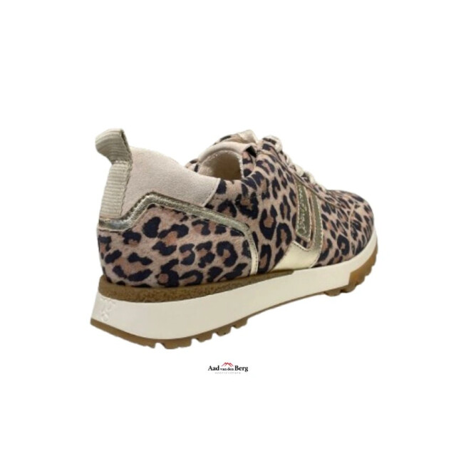 Paul Green 5392 Sneakers Bruin 5392 large