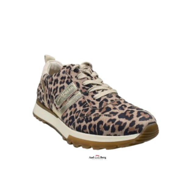 Paul Green 5392 Sneakers Bruin 5392 large