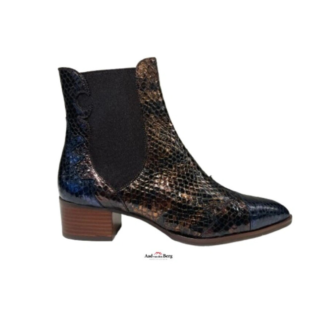 Pertini Damesschoenen enkellaarsjes 242W30961D2 891 large