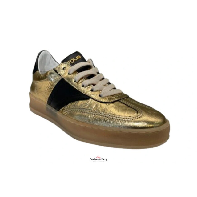 Mjus Damesschoenen sneakers T94109 large