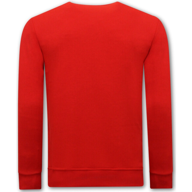 Tony Backer Sweater met print teddy bear 3617 3617R large