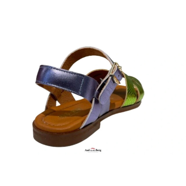 Red Rag 79666 Sandalen Paars 79666 large