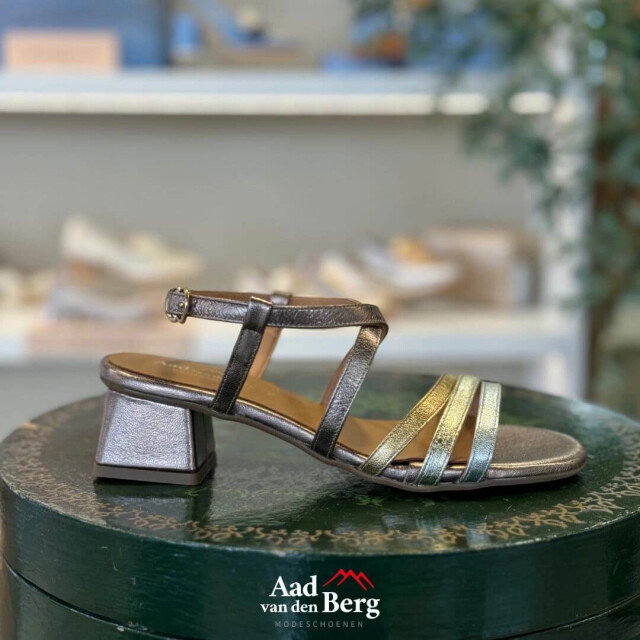 AVDB Damesschoenen sandalen 1921 279 large