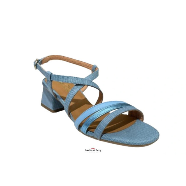 AVDB Damesschoenen sandalen 1921 279 large