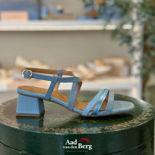 AVDB Damesschoenen sandalen 1921 279 large