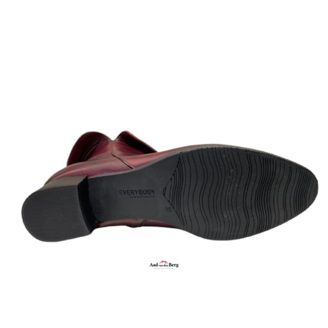 Everybody Damesschoenen enkellaarsjes Britney 49146 T3254 large