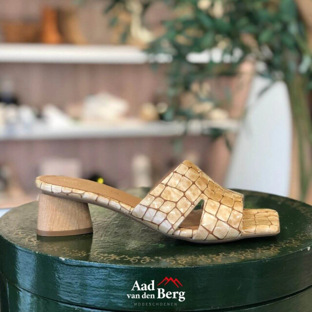 AVDB Damesschoenen slippers 27932 279 large