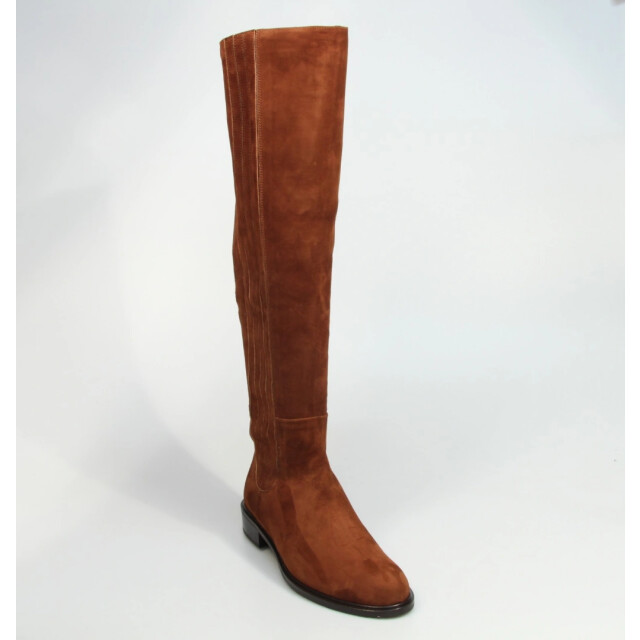 Lilian Damesschoenen laarzen 10457L 386 XL large