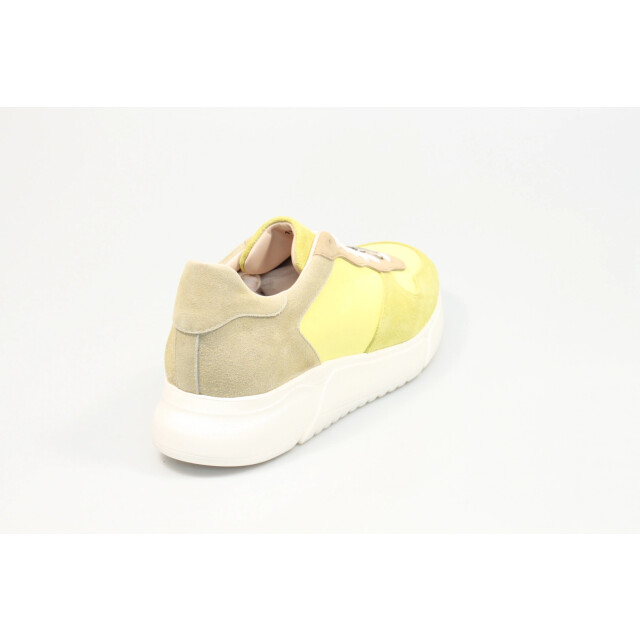 Gino-B Herenschoenen sneakers Ralfa 19019 large