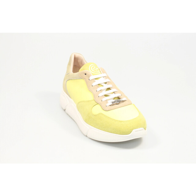 Gino-B Herenschoenen sneakers Ralfa 19019 large