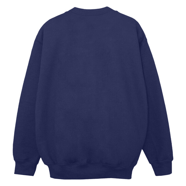 Li-cense Marvel dames spidey en zijn verbazingwekkende vrienden buurtsweatshirt UTBI35702_navyblue large
