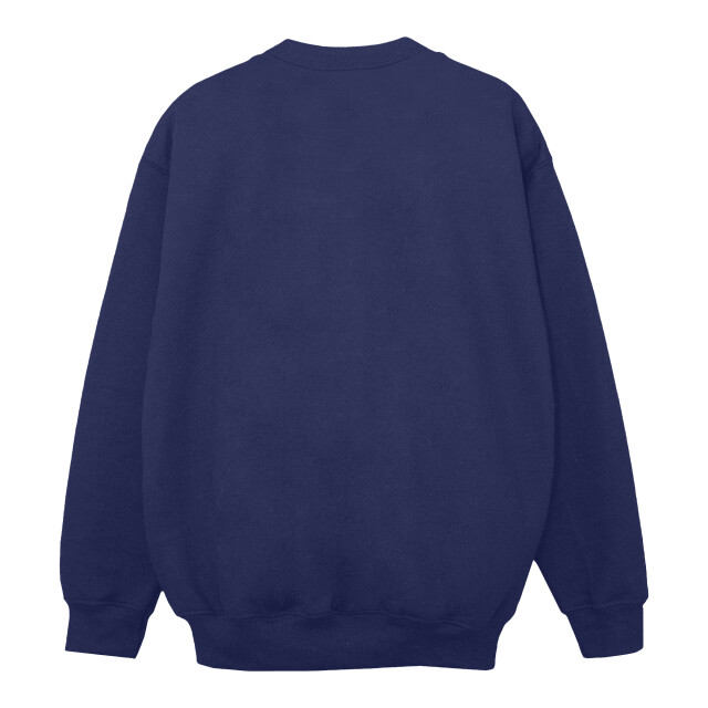 Li-cense Marvel dames spidey and his amazing friends rescue sweatshirt UTBI35722_navyblue large