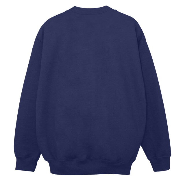 Li-cense Marvel dames spidey en zijn verbazingwekkende vrienden vliegend sweatshirt UTBI35602_navyblue large