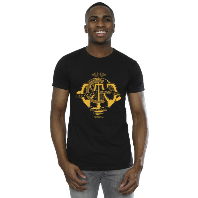 Li-cense Fantastic beasts: the secrets of dumbledore heren internationaal verbond van tovenaars t-shirt UTBI49533_black large