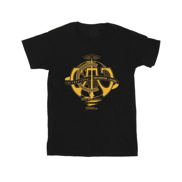 Li-cense Fantastic beasts: the secrets of dumbledore heren internationaal verbond van tovenaars t-shirt UTBI49533_black large