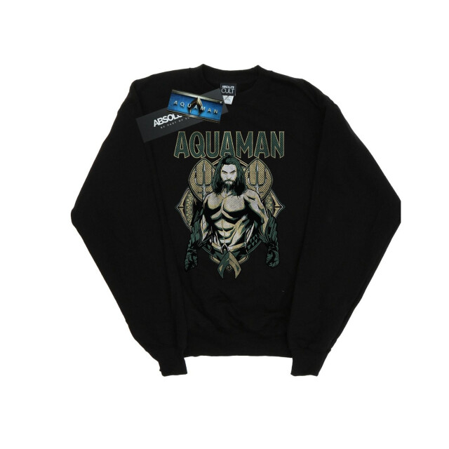 Li-cense Dc comics heren aquaman schubben sweatshirt UTBI9372_black large
