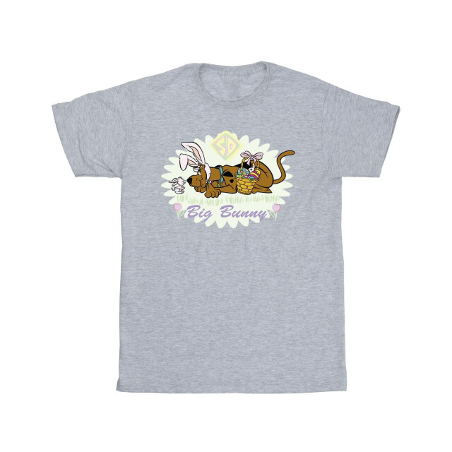 Li-cense Scooby doo heren groot konijn t-shirt UTBI51829_sportsgrey large