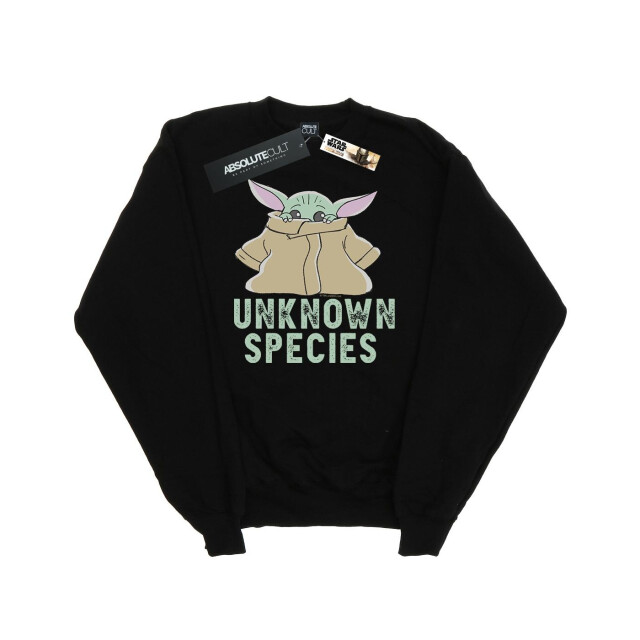 Li-cense Star wars dames the mandalorian onbekend soort sweatshirt UTBI38976_black large