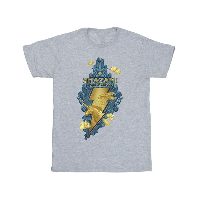 Li-cense Dc comics meisjes shazam fury of the gods golden animal bolt katoenen t-shirt UTBI51159_sportsgrey large