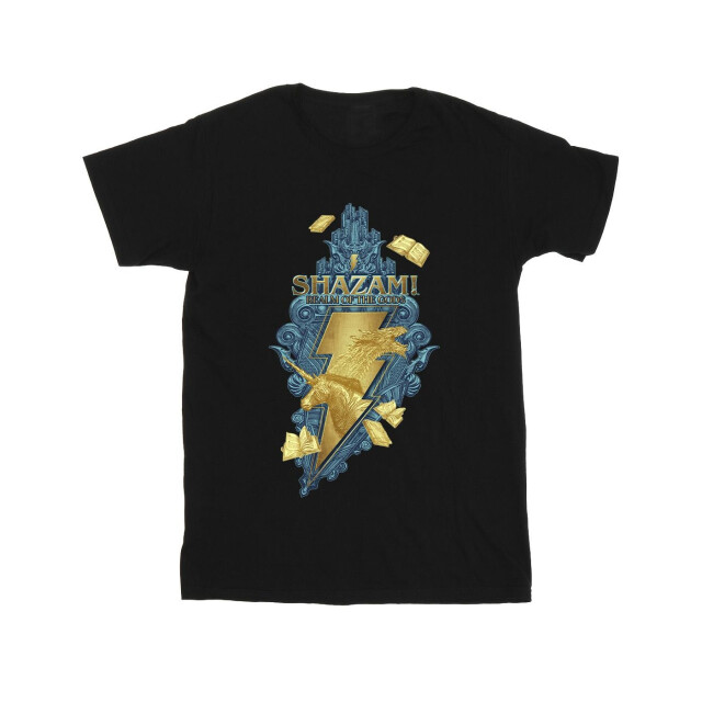 Li-cense Dc comics meisjes shazam fury of the gods golden animal bolt katoenen t-shirt UTBI51159_black large