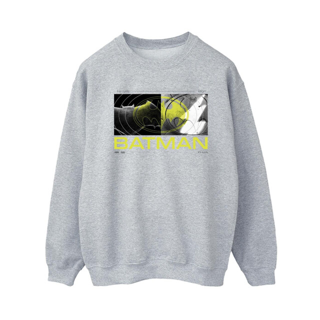 Li-cense Dc comics dames the flash batman toekomst naar verleden sweatshirt UTBI41096_sportsgrey large