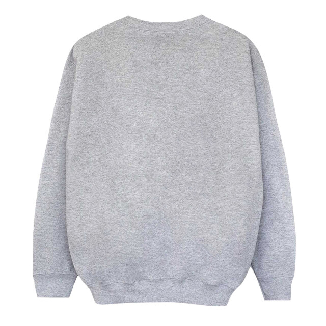 Li-cense Disney dames minnie mouse luipaard kerst sweatshirt UTBI29364_sportsgrey large