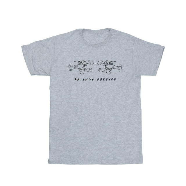 Li-cense Friends katoenen t-shirt met kreeftlogo voor meisjes UTBI19171_sportsgrey large
