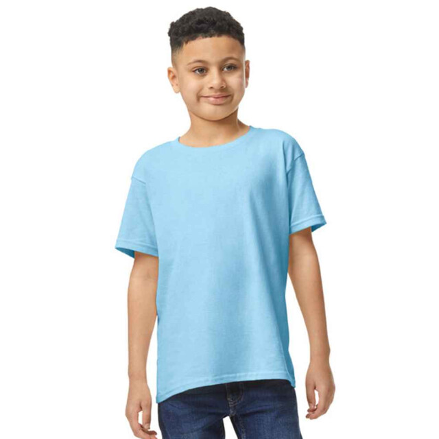 Gildan Kinder/kinder t-shirt van zwaar katoen UTLT2545_lightblue large
