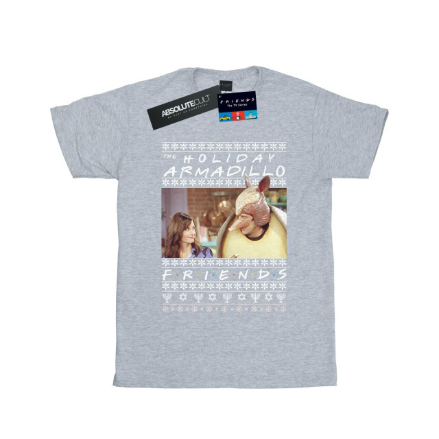 Li-cense Friends dames fair isle holiday armadillo cotton boyfriend t-shirt UTBI23621_sportsgrey large