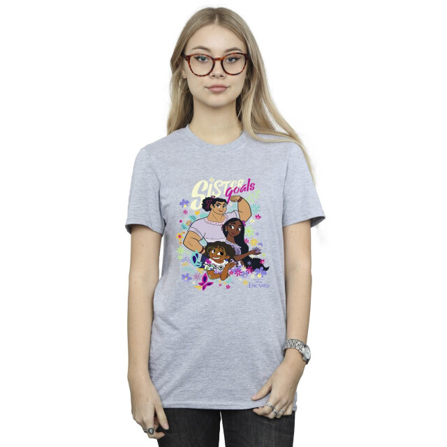 Li-cense Disney dames encanto zus doelen katoenen vriendje t-shirt UTBI22342_sportsgrey large