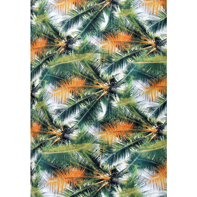 Gentile Bellini Tropical groen 3114 large