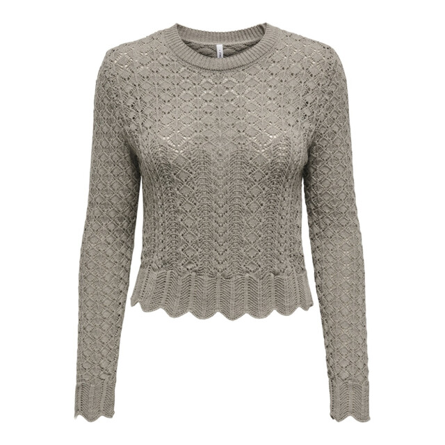 Only Onlsaga life ls o-neck cc knt taupe 4219.77.0136 large