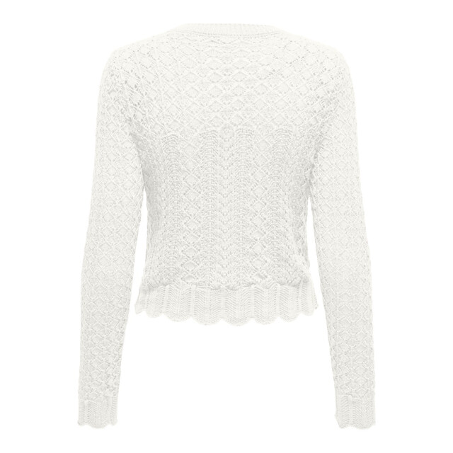 Only Onlsaga life ls o-neck cc knt - 4219.01.0137 large