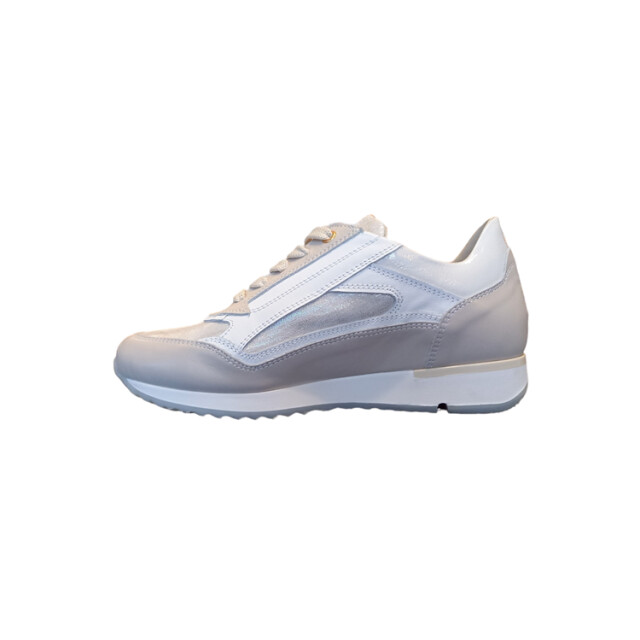 DL Sport 6216 6216 large