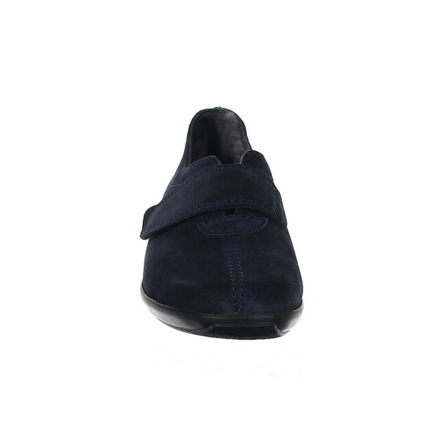 Stuppy 1925 1925 large