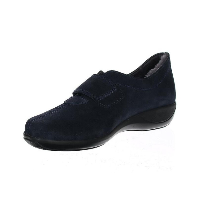 Stuppy 1925 1925 large
