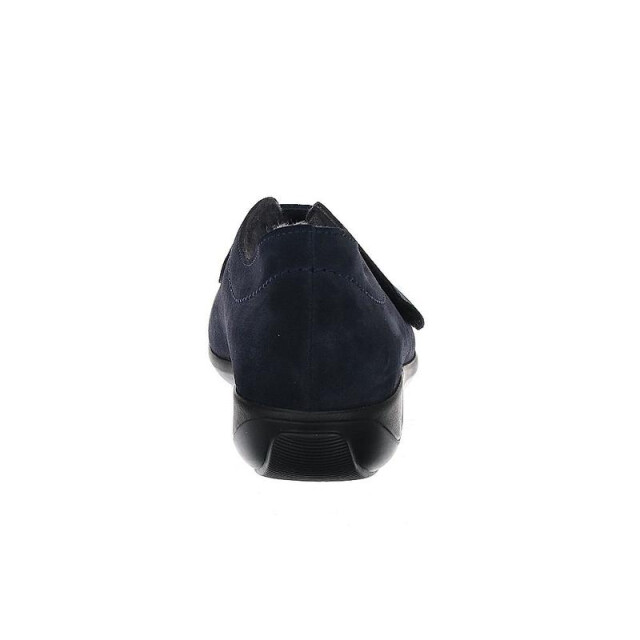 Stuppy 1925 1925 large