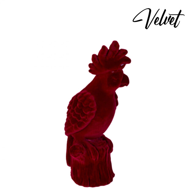 Casa di Elturo Velvet papegaai bordeaux rood 1358747 large