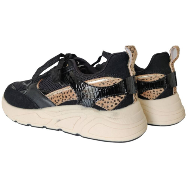 Poelman C18582x27psh sneaker C18582X27PSH large