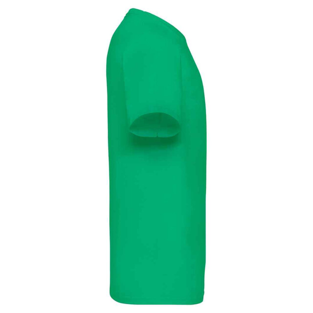 Fruit of the Loom Unisex adult waardevol v hals t-shirt UTLT2574_kellygreen large