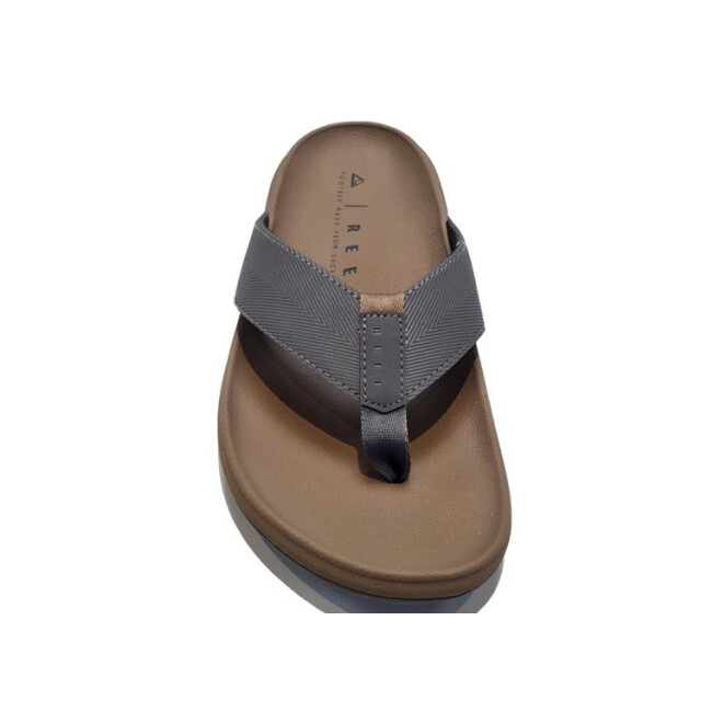 Reef The raglan cj4020-41 CJ4020-41 large