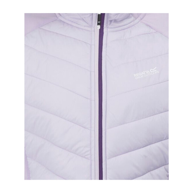 Regatta Dames andreson viii hybride jas UTRG9336_lilacfrostsunsetpurple large