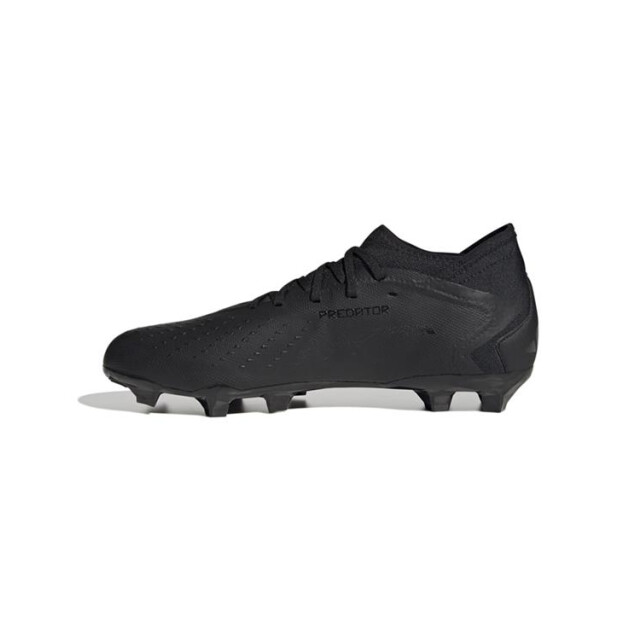 Adidas Predator accuracy.3 fg,cblack/cblac GW4593 large